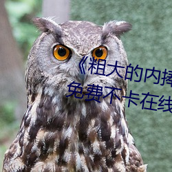 《粗大的内捧猛烈进出在线视频》免费不卡在线观看