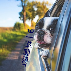 9丨抖音成r