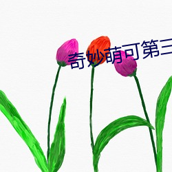 奇妙萌可第三季 （中水）