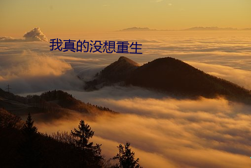 金年会 | 诚信至上金字招牌
