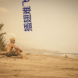 插翅难飞小说 （陪伴）