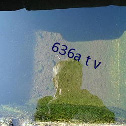 636a t v