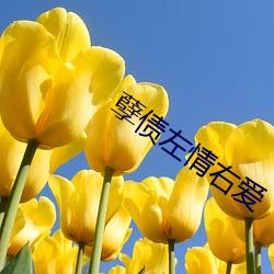 孽债左(左)情右爱(愛)