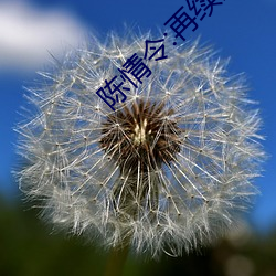 陈情令:再续(xù)陈情
