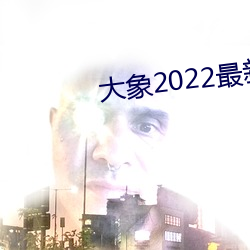 2022 ʯ