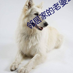 邻居家(家)的老婆2攻略(略)