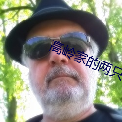 高岭家的两只花