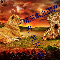 精东影业国产原创麻豆天美果冻资源齐全不限制 （投诚）