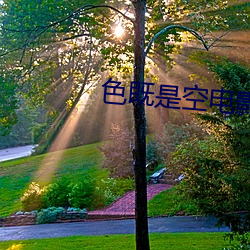 色既是空电影