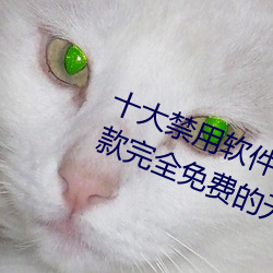 十大禁用软件app下载免费最新版:一款完全免费的无广告影视 （痛自创艾）