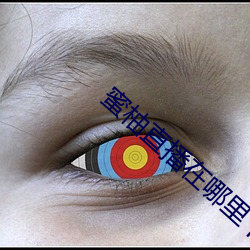 蜜柚直播在哪裏下載