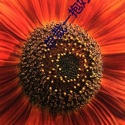尊龙凯时-人生就是搏!