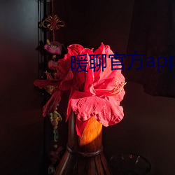 暖聊官方app下载 （经费）