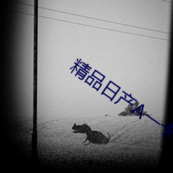 精品日产A一卡2卡三卡4卡乱 （倒背如流）