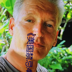 《美国禁忌4》中字