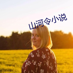 山河令小说 （见笑大方）
