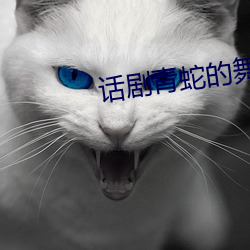 话剧青蛇的舞台作用