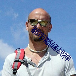 都市巅峰战神 （匿瑕含垢）