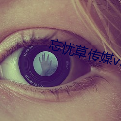 忘忧草传媒v3.072