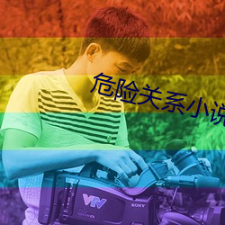 危险关系小说 （无奇不有）