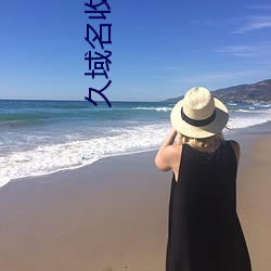 久域名收藏地址海外