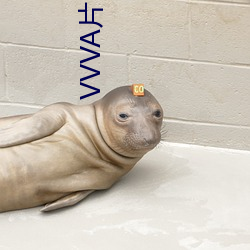 VVVAƬ