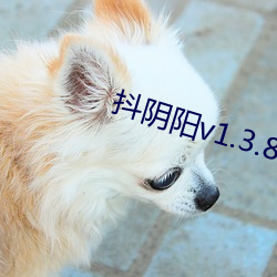 抖v1.3.8