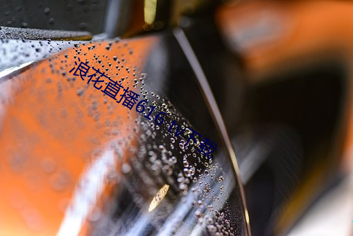 浪花直播616 tv下载