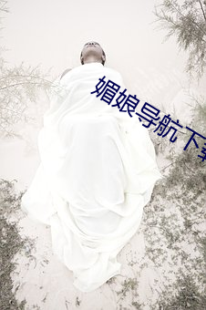 媚娘导航(航)下载