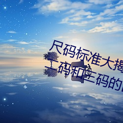 尺码标准大揭秘:无人区码、一码、二码和三码的区别是什么