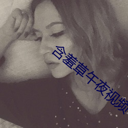 含羞草午夜视频