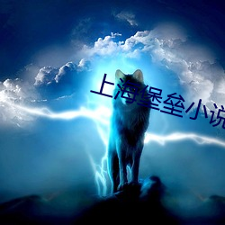 上海堡垒小说
