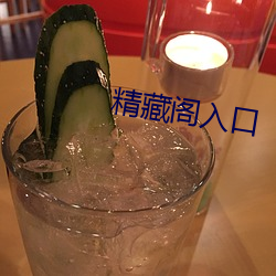 精藏阁入口 （道山学海）