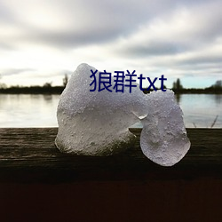 狼群txt （文奸济恶）