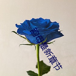 韵母最新章节