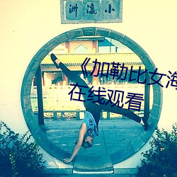 《加勒(lēi)比(bǐ)女海盗1》完结(jié)共622集在线观看