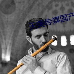 天(天)美(美)传媒国产