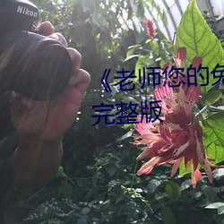 《老师您的兔子好软水好》高清完整版 （室迩人遥）