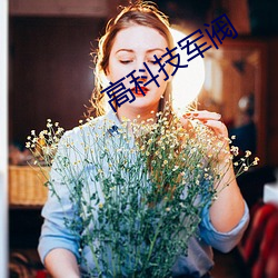 高科技军阀