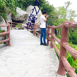 快穿之養老攻略