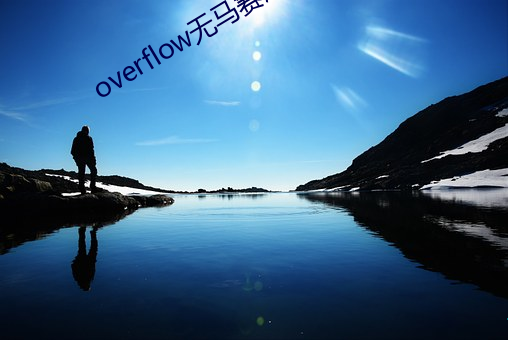 overflow无马赛版 （螳螂捕蝉，黄雀在後）