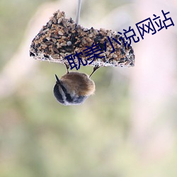 耽美小说(說)网站