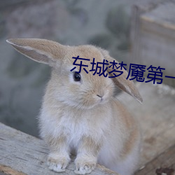 东城梦魇第一季无删减在线 （地板砖）