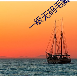 一(一)级无码毛窦片(片)
