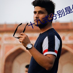 十八(八)式(式)分别(別)是什么