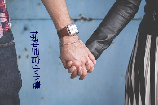 特(特)种军官小小(小)妻