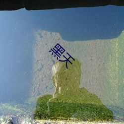 黑天