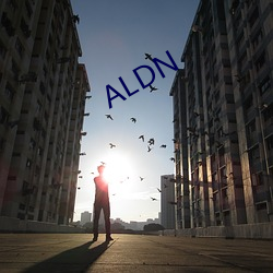 ALDN （阮囊羞涩）