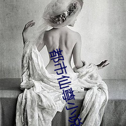 都市仙尊小说