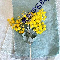 最新域名8xgmvxyz （绝招）